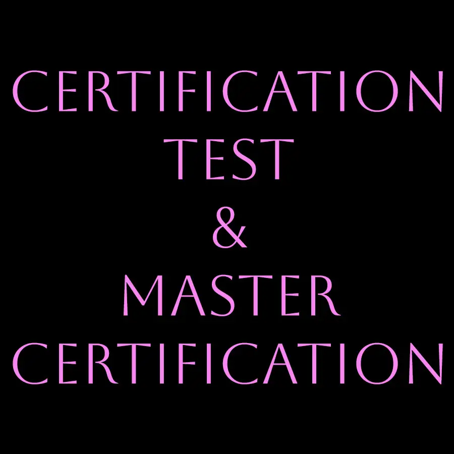 Certification test and master hair extensin certification